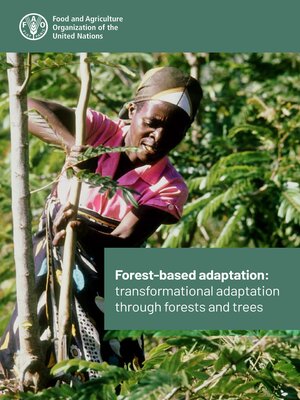cover image of Forest-Based Adaptation